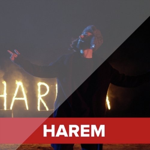 Harem_poster_image