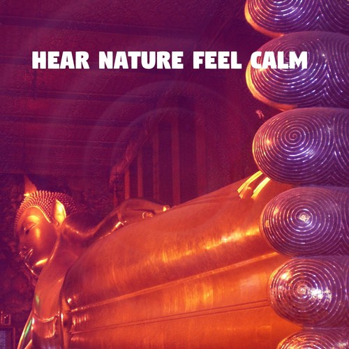 Hear Nature Feel Calm