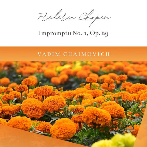 Impromptu No. 1 in A-Flat Major, Op. 29_poster_image