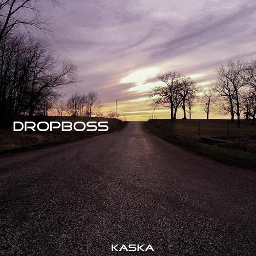 Vaskum cover art