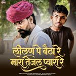 Lilal Pe Betha Re Mara Tejal Pyara Re