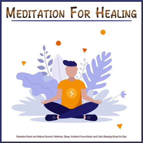 Meditation For Healing: Relaxtion Music and Nature Sounds, Wellness, Sleep, Ambient Focus Music and Calm Sleeping Music for Spa_poster_image