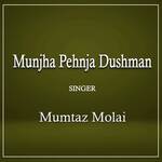 Munjha Pehnja Dushman