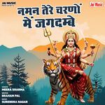 Naman Tere Charnon Me Jagdambe