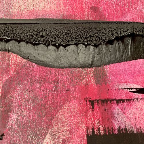 Skunk Dog (FRANCOIS DILLINGER remix) cover art