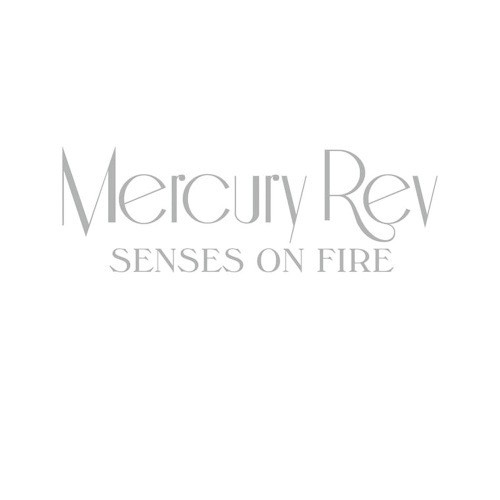 Senses On Fire (James Holden Remix)