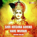 Shri Krishna Govind Hare Murari (Krishna Bhajan)