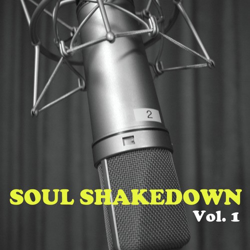 Soul Shakedown, Vol. 1
