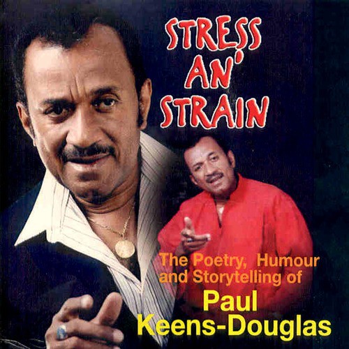 Stormers cover art