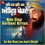 Sur Nar Munn Jan Amrit Khojde