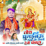 Tora Ghumaibau Gaya Ke Vaishno Devi Pandal