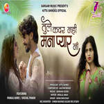 Tule Kadar Nahi Mana Pyar Ni  feat. Pankaj Ahire,Snehal Pawar