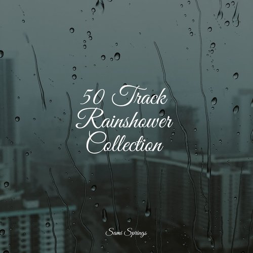 Rain, Storm and Thunder cover art