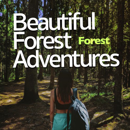 Beautiful Forest Adventures