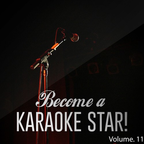 Become a Karaoke Star, Vol. 11_poster_image