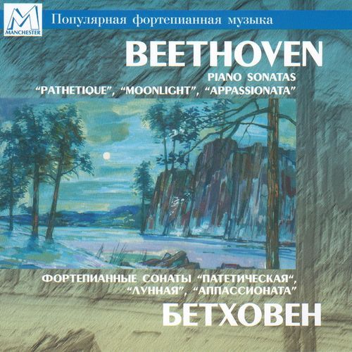 Piano Sonata No. 14 in C-Sharp Minor "Moonlight", Op. 27, No. 2: II. Allegretto - III. Presto agitato