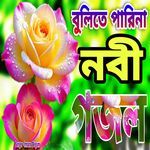 Bulite Parina Nobi Mone Amar Kande