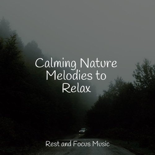 Calming Nature Melodies to Relax