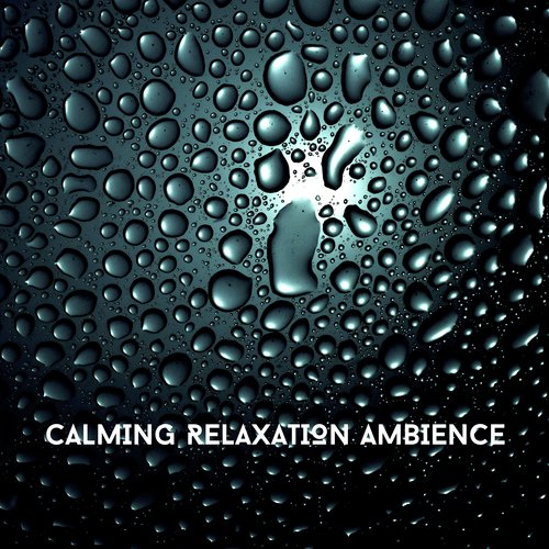 Calming Relaxation Ambience_poster_image