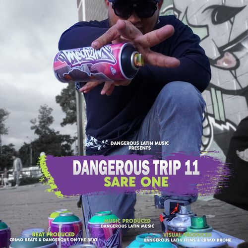 Dangerous Trip 11 - Sare One cover art