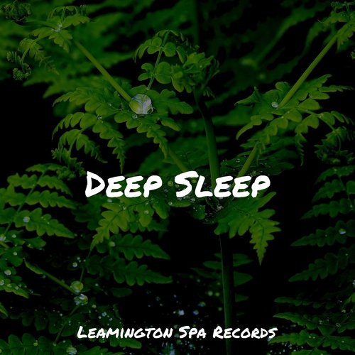 Deep Sleep