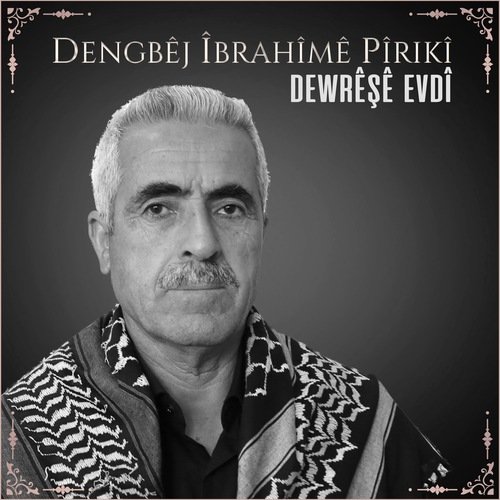 Bave Seyro cover art