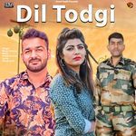 Dil Todgi