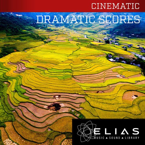 Dramatic Scores_poster_image