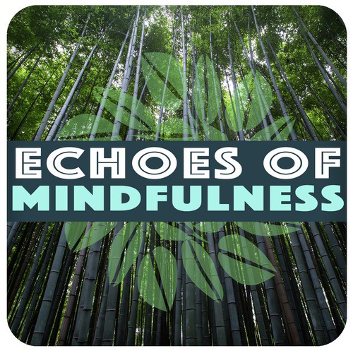 Echoes of Mindfulness