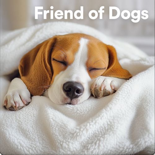 Friend of Dogs