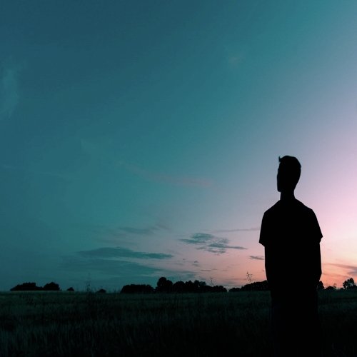 Insaan cover art