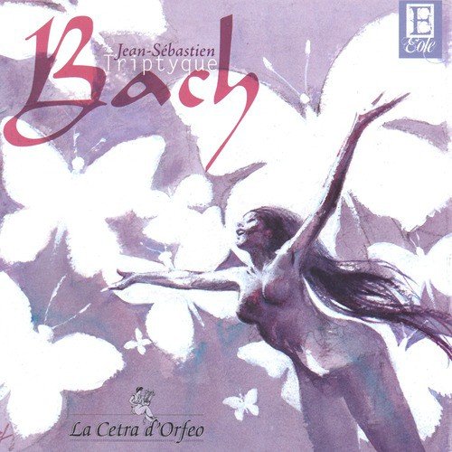 Sonate Pour Flûte Et Clavecin Obligé Bwv 527 : Allegro
