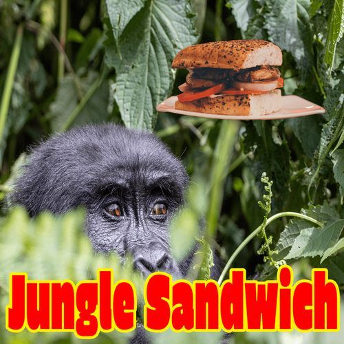 Jungle Sandwich cover art