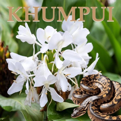 Manthok Manthok (Raima Saima)