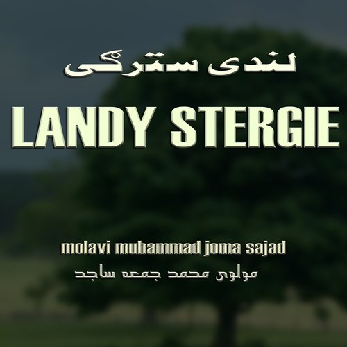 Landy Stergie