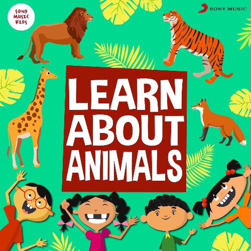 Bhed Lyrics - Learn About Animals - Only on JioSaavn