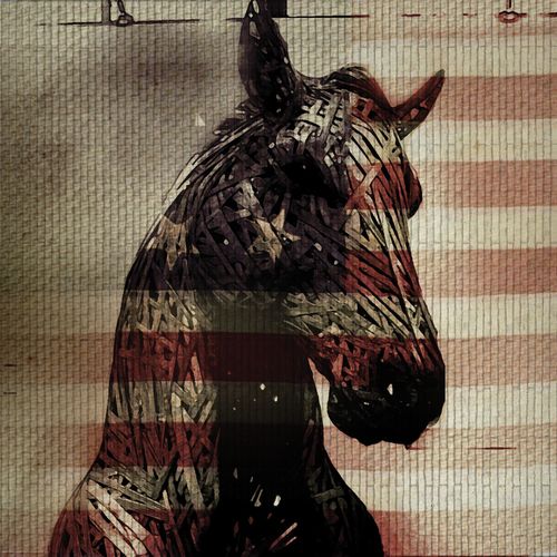 Live Horses (EP)_poster_image