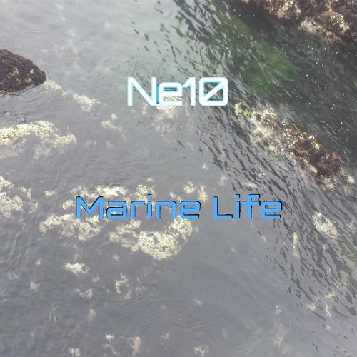 Ne10
