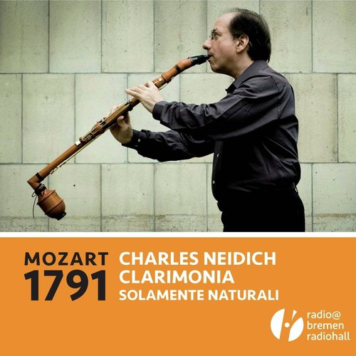Concerto for Basset Clarinet and Orchestra in A Major, K. 622: III. Rondo - Allegro