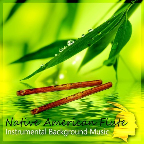 Nature Sounds - Song Download from Native American Flute – Instrumental  Background Music, Relaxation Meditation, Yoga, Reiki, Healing Music, Calm &  Serenity, Soothing Nature Sounds @ JioSaavn