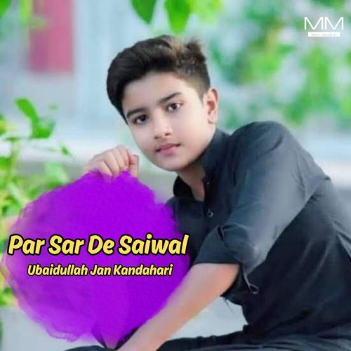 Par Sar De Saiwal