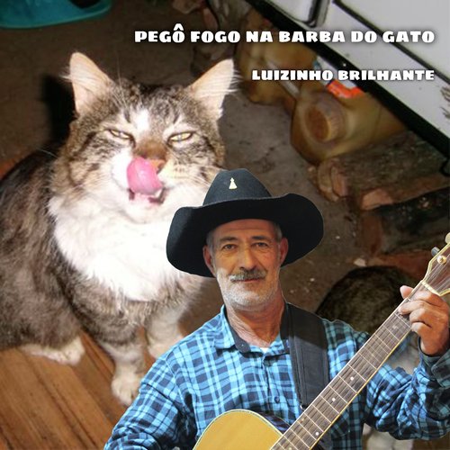Pegô Fogo na Barba do Gato cover art
