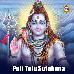 Puli Tolu Sutukuna