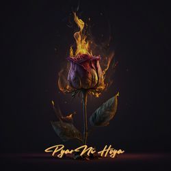 Pyar Ni Hoya