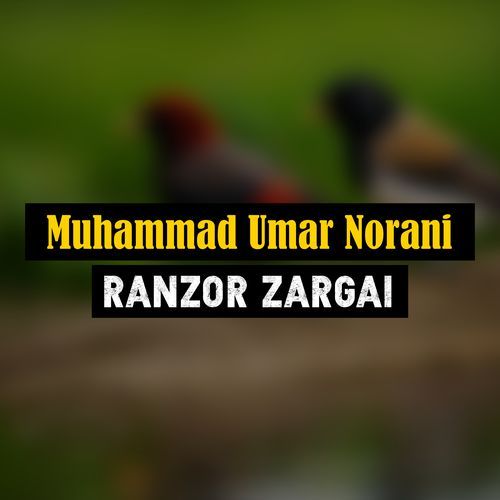 Ranzor Zargai