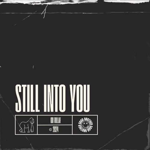 STILL INTO YOU (DnB)