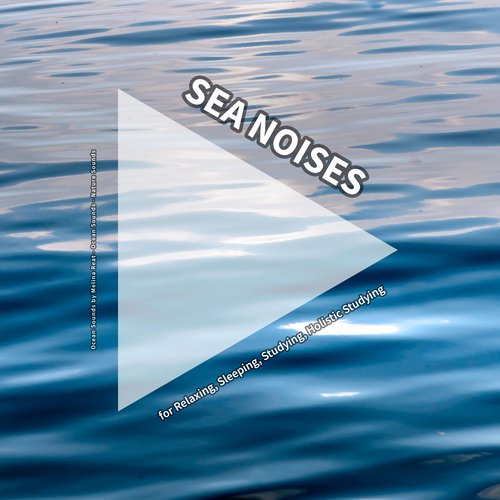 Wave Noises cover art