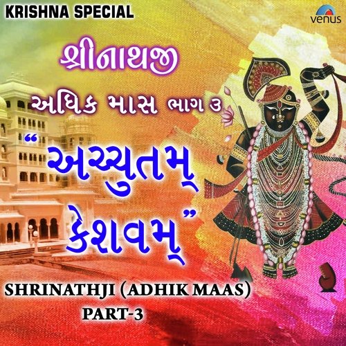 Vallabh Kul Na Vala Shrinathji