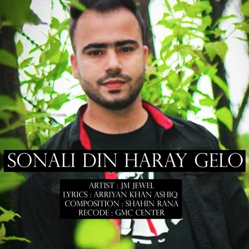 Sonali Din Haray Gelo_poster_image