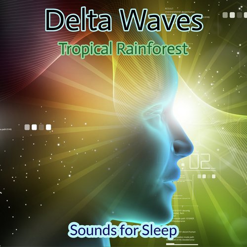 Sounds for Sleep - Tropical Rainforest